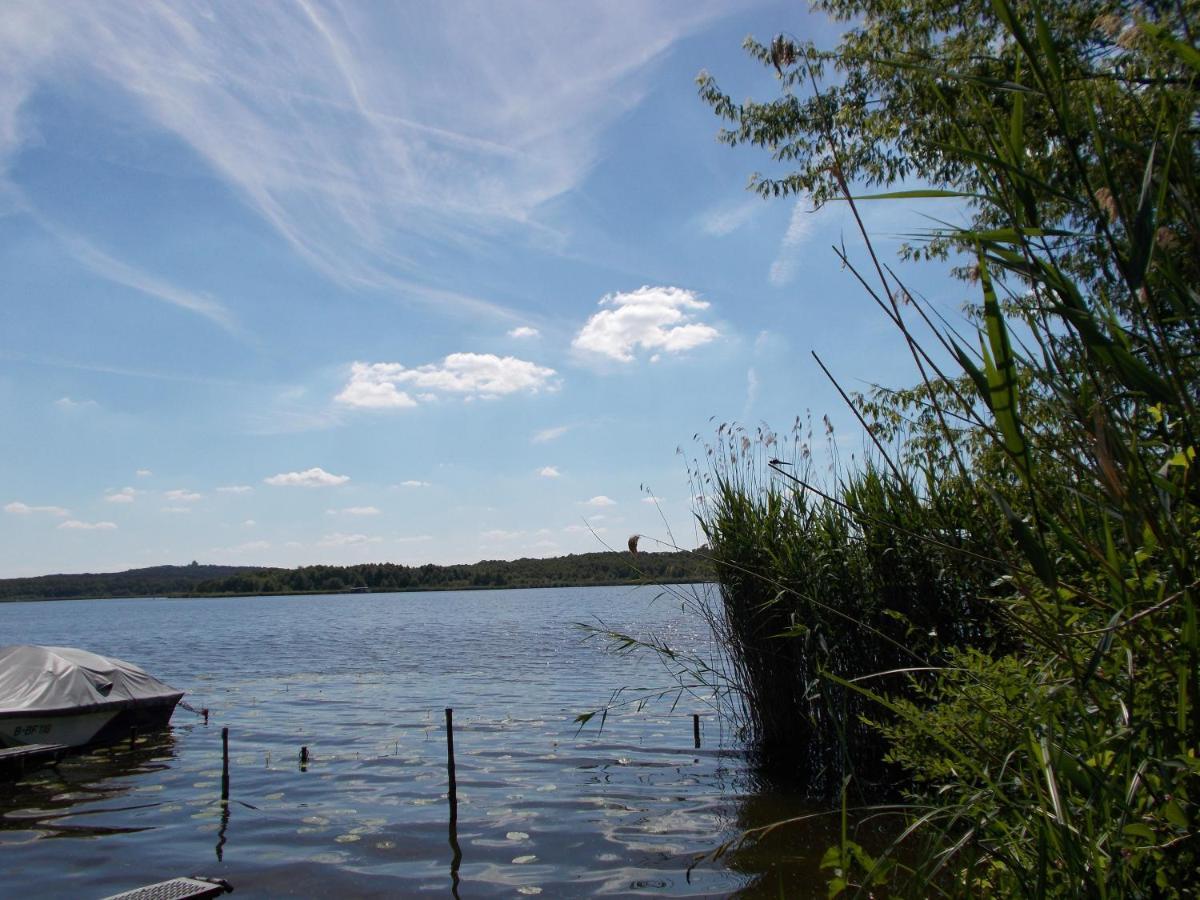 Ferienhaus Am Langen See III Heidesee Экстерьер фото